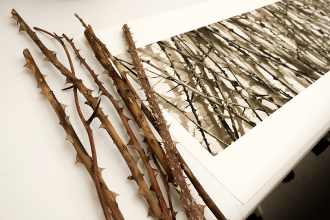 wooden sticks and collected objects found by photographer Julie Meridian